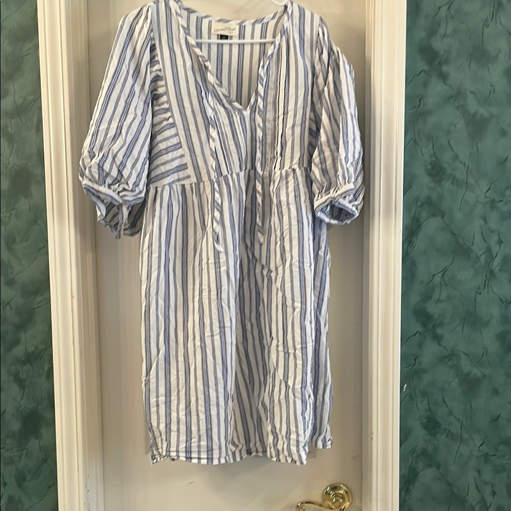 Universal Thread Blue and White Striped Dress